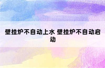 壁挂炉不自动上水 壁挂炉不自动启动